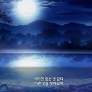 쿠루미 밤의 달빛호숫가 유실물 퀘스트 오류인가요 + 토카도 유실물 퀘스트 오류 있어요 이미지