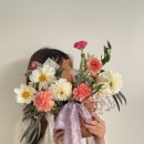 트레플 이미지
