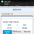 아비시니아 이미지