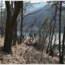 충주호 종댕이 이미지