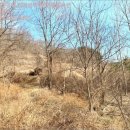 영덕야성초등학교 매정분교장 이미지