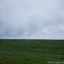 남부코스 이미지