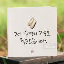 청첩장카드마을 | [D-57] 청첩장카드마을 샘플후기 및 셀렉