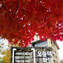 일등부동산합동공인중개사사무소 | 2025.11.05 광주화담숲 신동탄포레자이 일등자이부동산 단풍여행 |후기