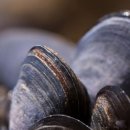 네이처메디 이미지