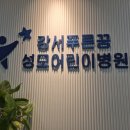 강서푸른꿈성모어린이병원 이미지