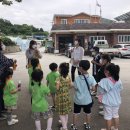 주천초등학교병설유치원 이미지