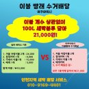 시티세탁 이미지