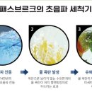 라라코리아 이미지