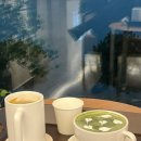 231 | 🌿[충주 231카페] 충주 뷰 좋은 카페 | 231카페 솔직후기