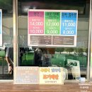 2026 태안 세계튤립꽃박람회 다녀온 솔직 후기_예매, 입장료, 주차, 포토존