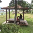 안뜰거북이마을 이미지