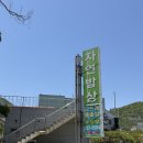 찐짱밥상 | 26.05.10 몇번 재방문했는지 기억도 나지않는 찐 단골 곤드레밥맛집 기장 '자연밥상' 후기☺️🤍 🍃🌿🌱🍀💚