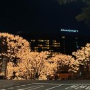 메리이브 | [서울] 그랜드 하얏트 아이스링크 크리스마스 이브 패키지 후기 (가격,피겨갈라쇼,카페) 🎅🏻