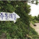 [트래블] 제주 올레 100배 즐기기 이미지