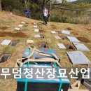 대한장묘산업