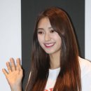 보라 이미지