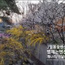 개나리펜션 이미지