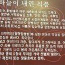삼도봉천마농장 이미지