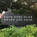 젤라 Daum카페