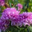 대구수지 이미지