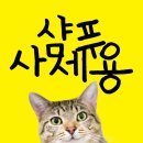 살롱;동백 이미지