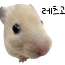 공룡빵공장 이미지