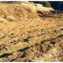 화봉농장 이미지