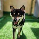 유니독스 이미지