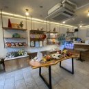 강남애견 | [필스타] 압구정역·청담동 연예인들도 찾는 소문난 강남애견미용, 말티푸 두리 썸머컷 후기