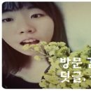 와호텔 - 중구 광복로97번안길 5 | 와호텔