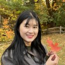 단풍하하 이미지