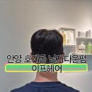 다운체 | ✂️ 호계동미용실 이프헤어 남자 다운펌 후기💇🏻‍♂️