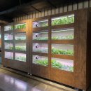 팜스테크 이미지