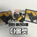 다올펫 이미지