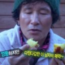 붐악기사 티스토리