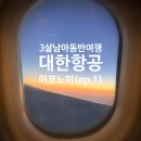 코기절미 | 푸꾸옥 대한항공 인천->푸꾸옥 이코노미 탑승 및 푸꾸옥입국심사 추천