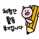 빅픽 이미지