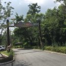 백두대간 체험형 테마파크(숲속동키마을) 이미지