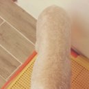 지누동물병원 이미지