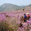 청도자연병원 이미지