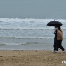 영일대해수욕장 이미지