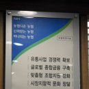 농협원대동 이미지