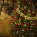 크리스마스 트리 이미지