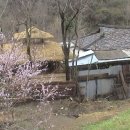 벌랏마을 선우네 이미지