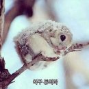 국화라이프세탁 | Monthly_10월 | 가을에서 갑자기 겨울이 되어버렸,, 읏츄읏츄