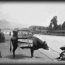 행정사법인 광화문 이미지