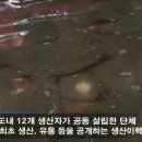 영어조합법인 청정제주 이미지