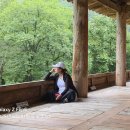 2025.6.21(토)경북 안동, 봉정사~월영교 (여행스케치 2) 이미지