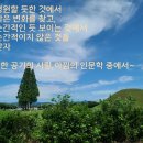 비움사랑 이미지